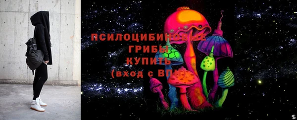 сатива Гусиноозёрск