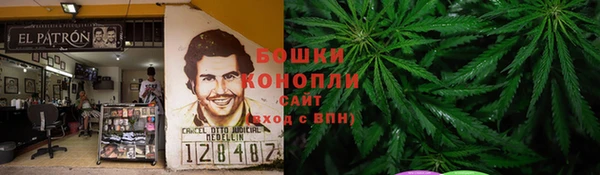 метадон Гусь-Хрустальный