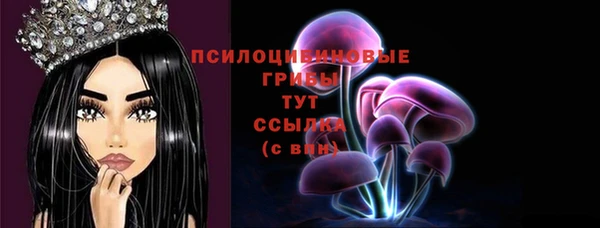 jwh Гусев