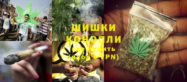 метадон Гусь-Хрустальный