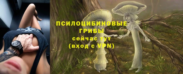 сатива Гусиноозёрск