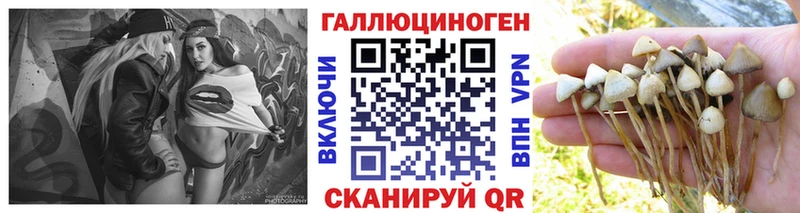 Галлюциногенные грибы GOLDEN TEACHER  где найти   МЕГА зеркало  Якутск 